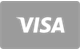 Visa card accepted at GoldZino Casino